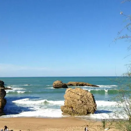 Biarritz, 2 Pieces, 4 Personnes - Fr-1-3-391 Apartament *